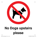 no-dogs-upstairs-please-~